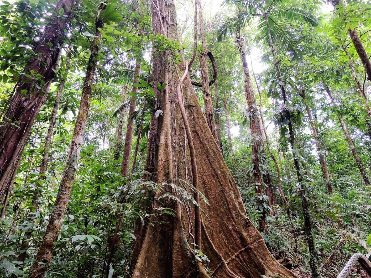 Corcovado Adventures Pansiyon Drakes Bay Dış mekan fotoğraf