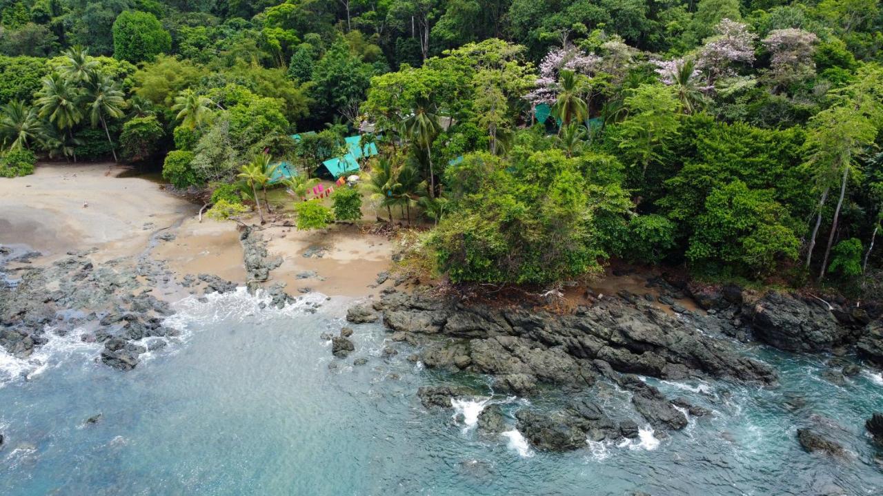Corcovado Adventures Pansiyon Drakes Bay Dış mekan fotoğraf