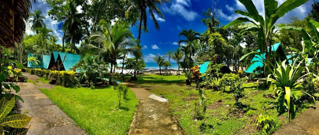 Corcovado Adventures Pansiyon Drakes Bay Dış mekan fotoğraf