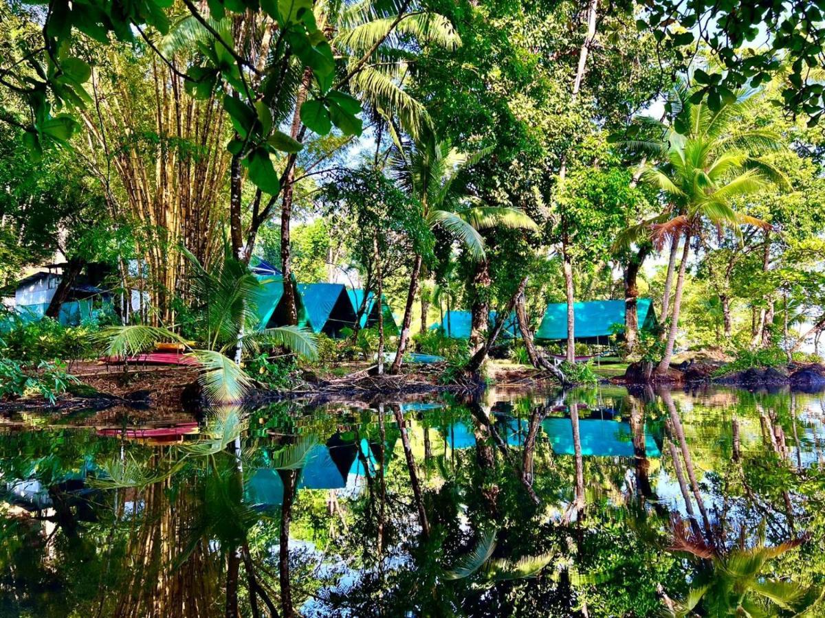 Corcovado Adventures Pansiyon Drakes Bay Dış mekan fotoğraf