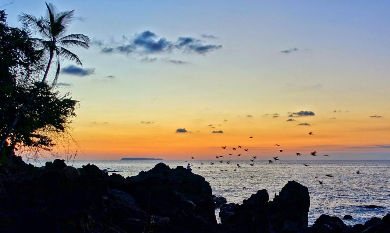 Corcovado Adventures Pansiyon Drakes Bay Dış mekan fotoğraf