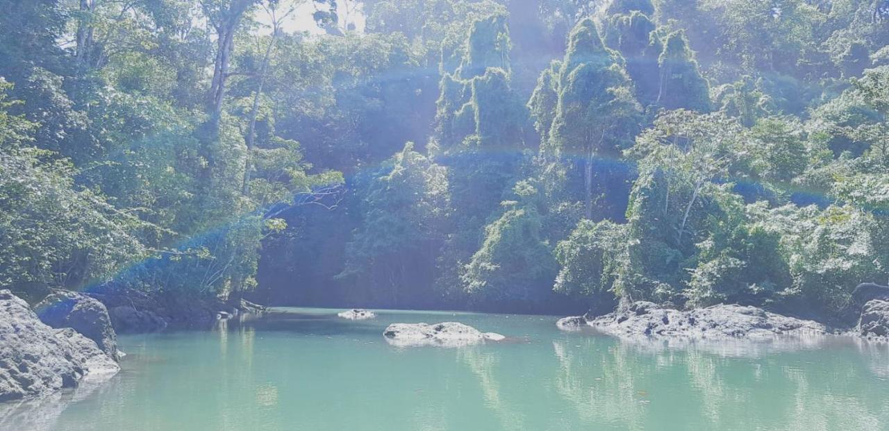 Corcovado Adventures Pansiyon Drakes Bay Dış mekan fotoğraf